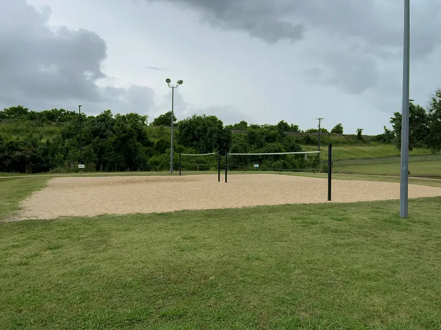Volleyballnetz auf einem Sandfeld im Freien, dahinter Wiese und Bäume